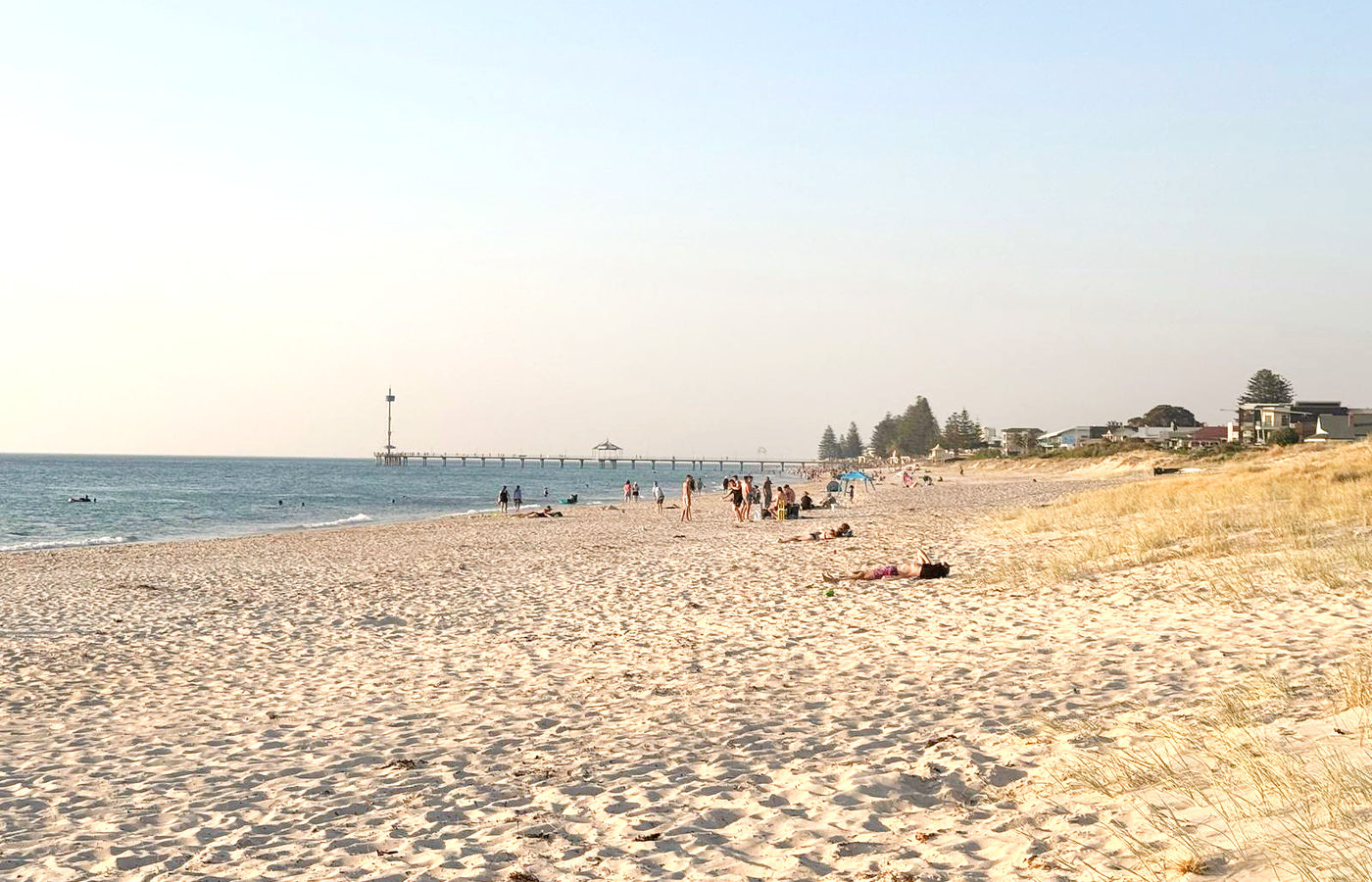 Adelaide coastline and a jetty at golden hour